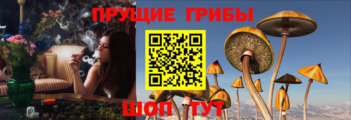 Острогожск  Галлюциногенные грибы ЛСД  Галлюциногенные грибы ЛСД  Вход с VPN 