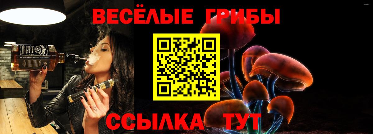 Галлюциногенные грибы GOLDEN TEACHER Острогожск